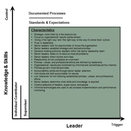 StrategyDriven Corporate Cultures | Corporate Cultures - Leader Initiated, Knowledge and Skills Controlled Environment