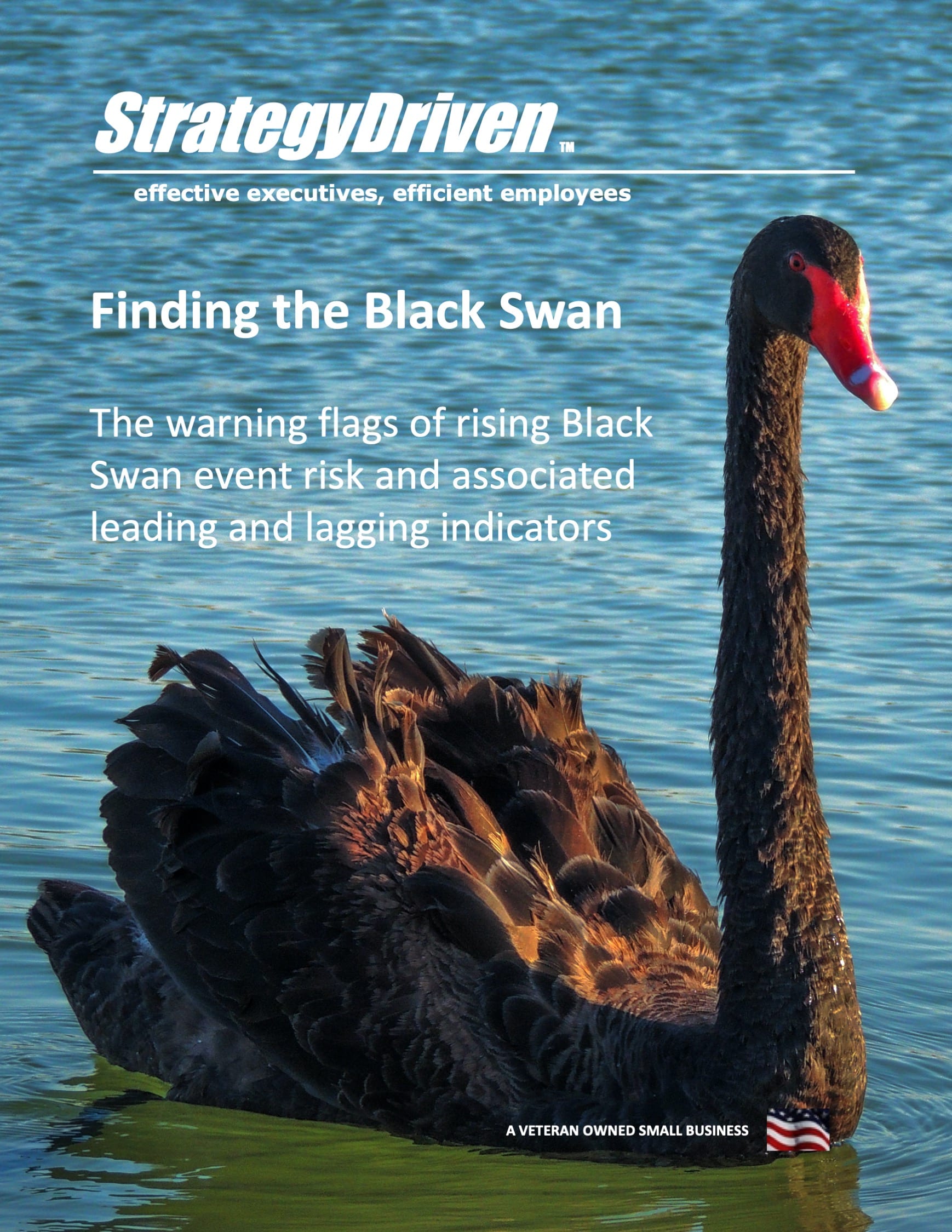 the Black Swan - StrategyDriven