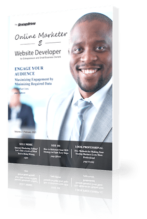 StrategyDriven Online Marketer & Website Developer - Volume 2, February 2021