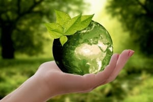 StrategyDriven Managing Your Business Article |Sustainability|Should Your Business Be Thinking About Making Sustainable Choices?